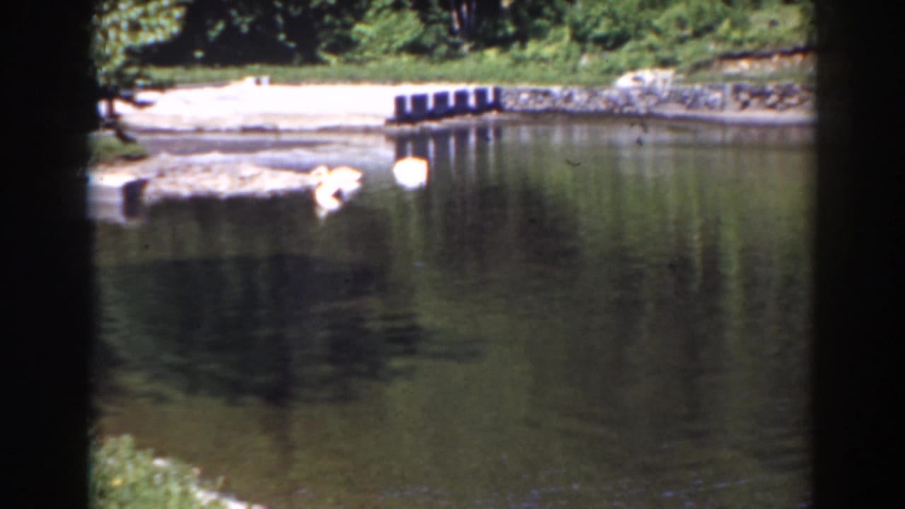 A quiet pond scene in the Mount Washington, New Hampshire footage shows white birds near a wooded shore and dock.