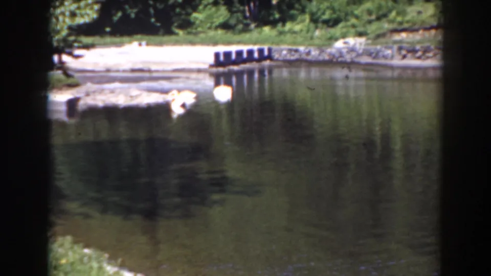 A quiet pond scene in the Mount Washington, New Hampshire footage shows white birds near a wooded shore and dock.