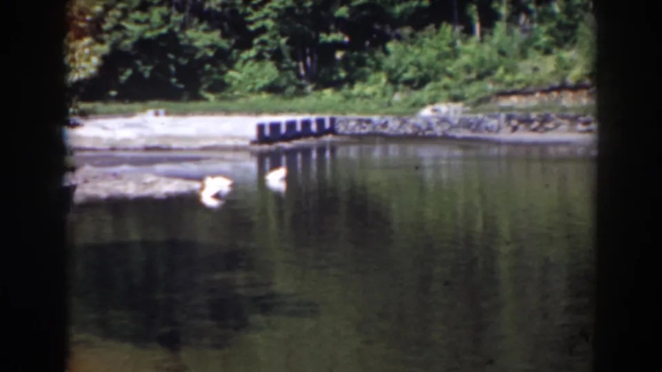 Two white birds are visible on the pond near a stone-lined shore and small dock in the 1938 Mount Washington footage.