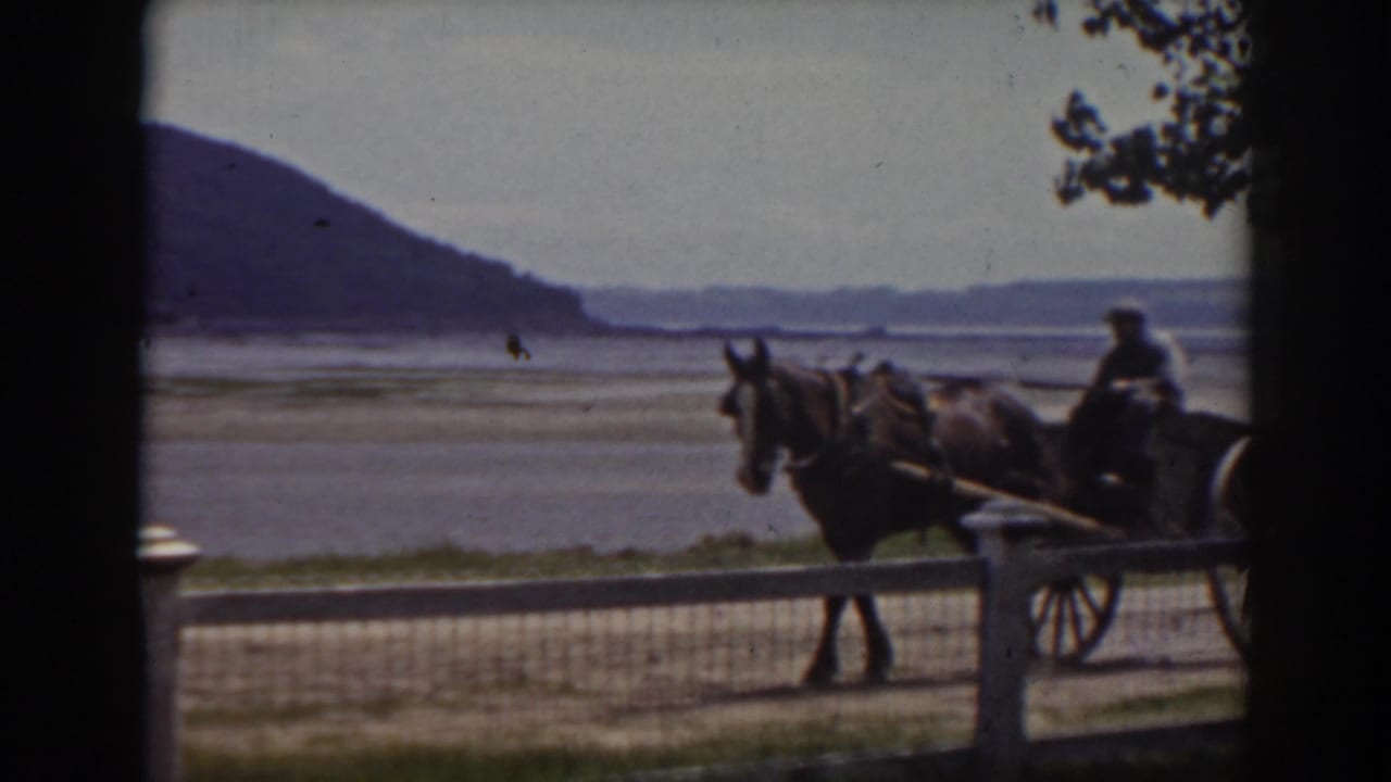 A man drives a horse-drawn cart along a dirt path beside a fence and riverbed.