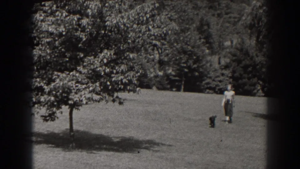 A woman in a light top and dark lower garment is near a small dark dog in a grassy New Jersey field, with trees behind them.