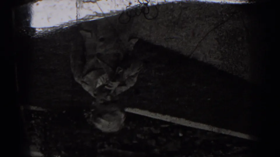 A largely obscured 8mm frame shows dark film edges, partial outdoor ground, and indistinct foliage or shadow from the same home-movie sequence.