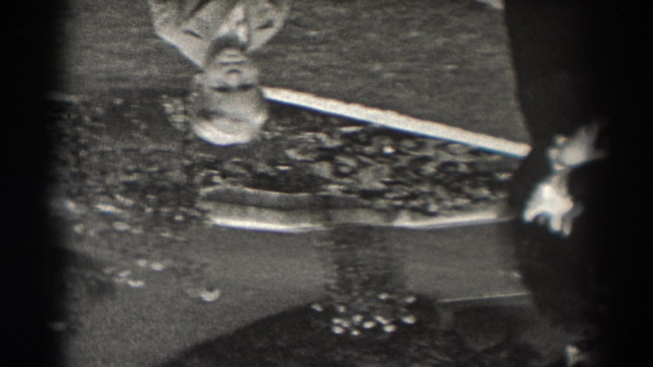 Black-and-white 8mm frame from New Jersey showing an upside-down reflection of a light-suited figure beside a partial dark-clothed person.