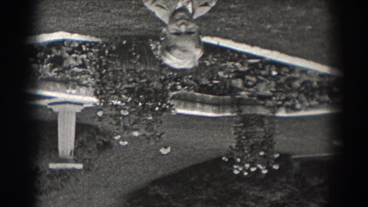 1938 New Jersey 8mm frame, upside down, showing a landscaped garden with shrubs, lawn, a pale monument-like structure, and part of a person.