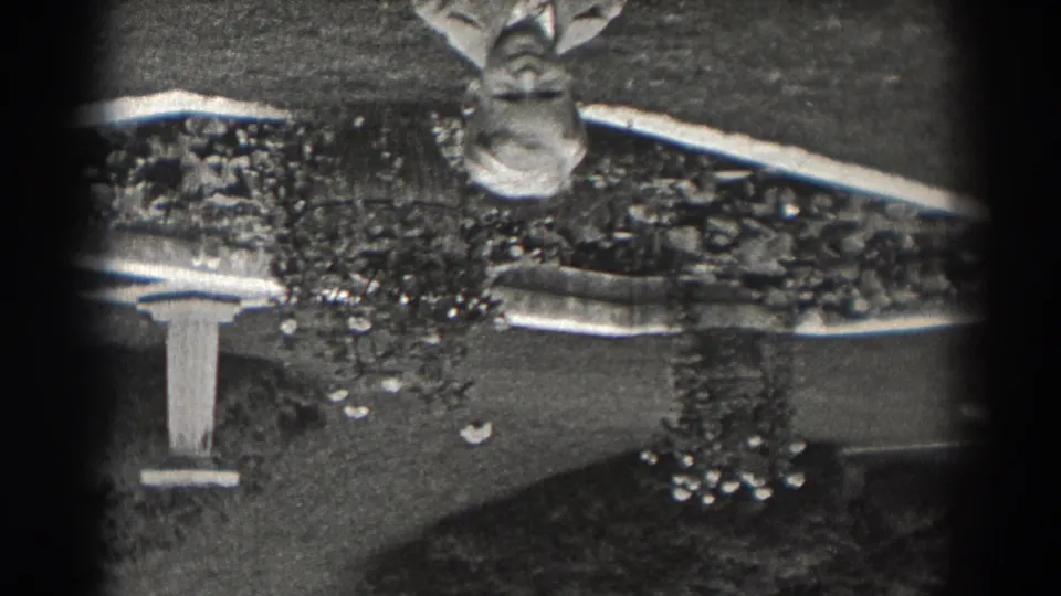 1938 New Jersey 8mm frame, upside down, showing a landscaped garden with shrubs, lawn, a pale monument-like structure, and part of a person.