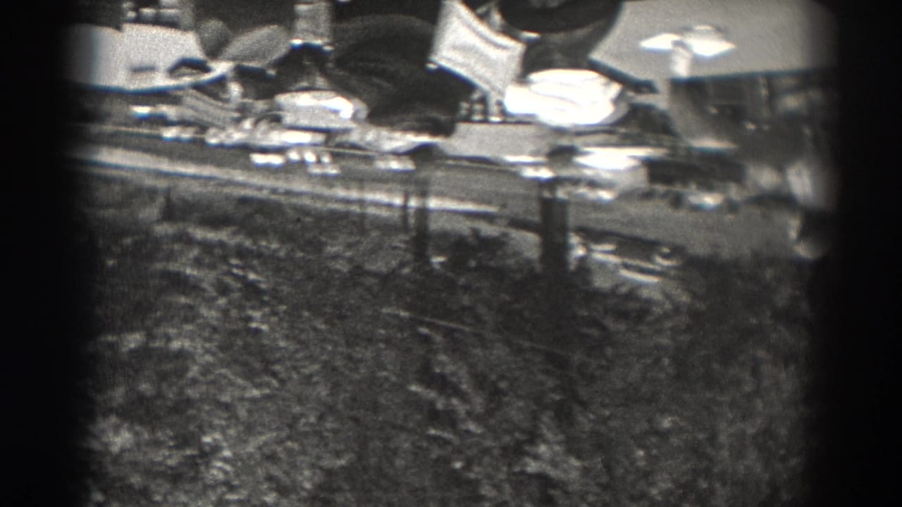 High-angle black-and-white view of rooftops, trees, poles, and street lamps.