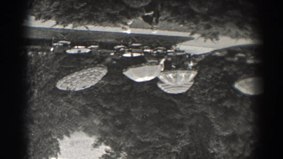 An upside-down 8mm frame shows two women walking across grass near a garden path, with trees and bright ground areas around them.