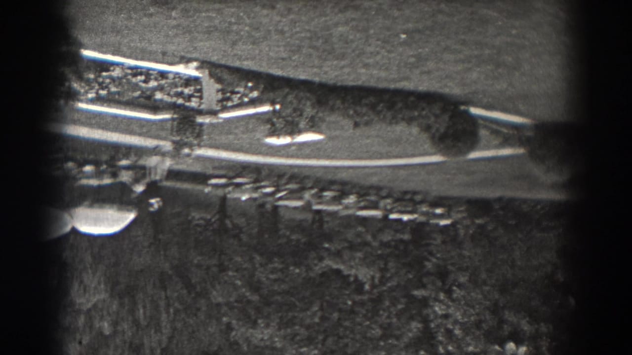 1938 New Jersey home-movie frame with an upside-down park scene, showing a curved path, trees, grass, and a low structure in the distance.