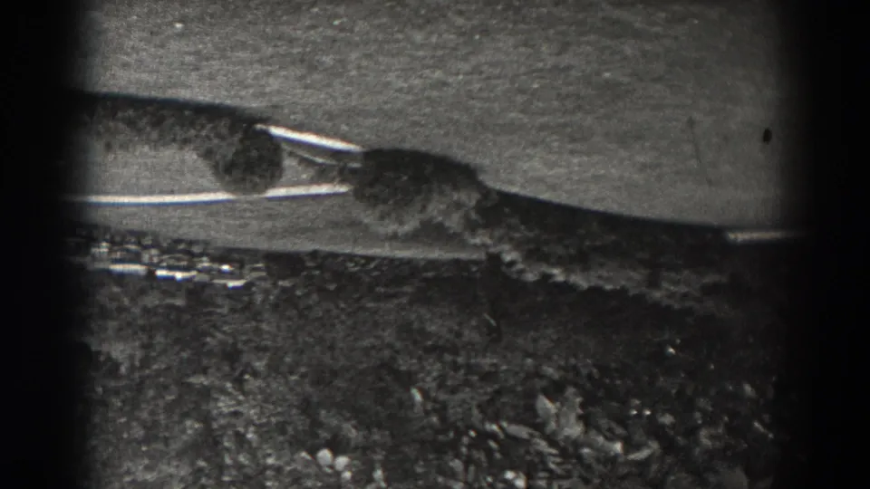 1938 New Jersey home-movie frame showing an upside-down view of grass, trees, and a curved walkway or road through park grounds.