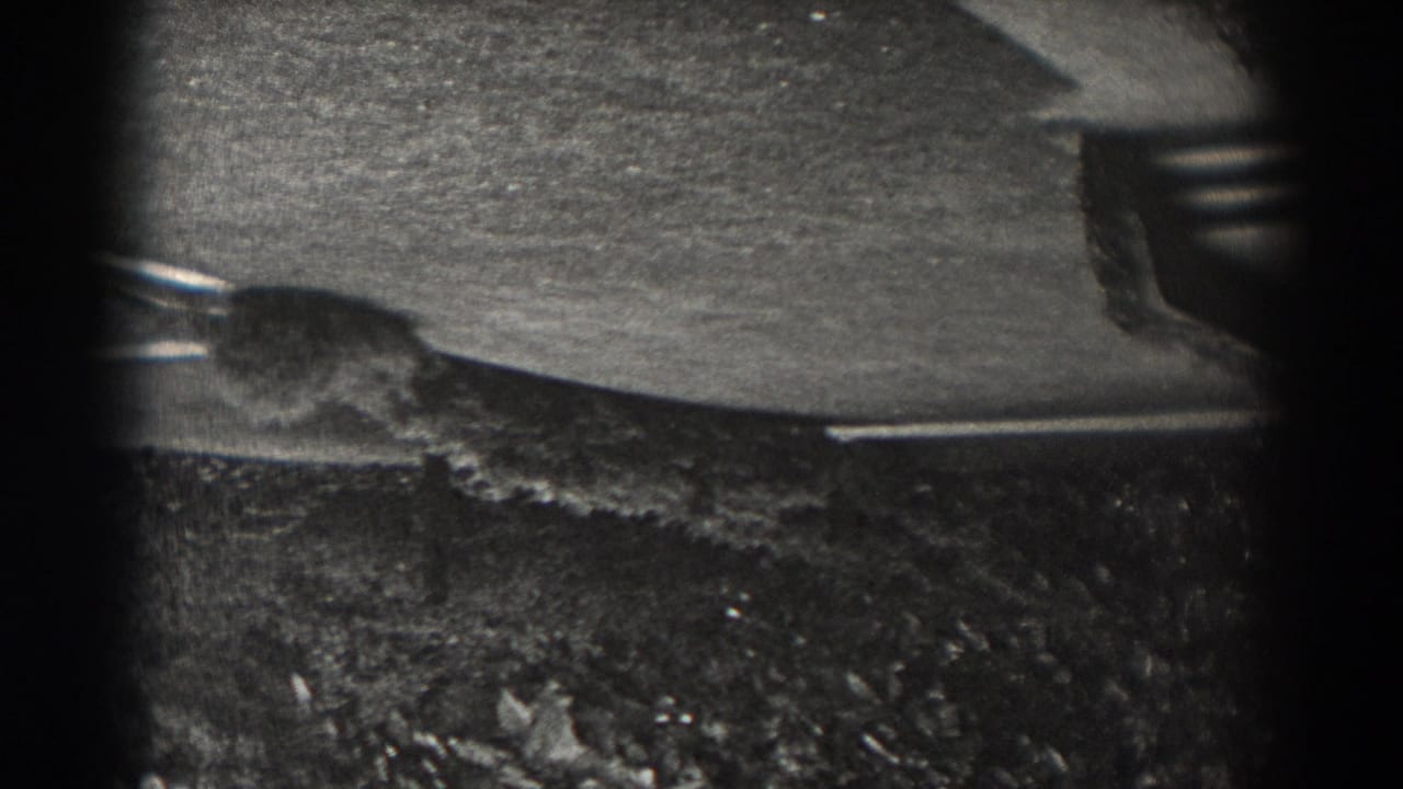 Upside-down black-and-white 8mm frame from New Jersey showing pavement, grass, and low shrubs under heavy vignette.