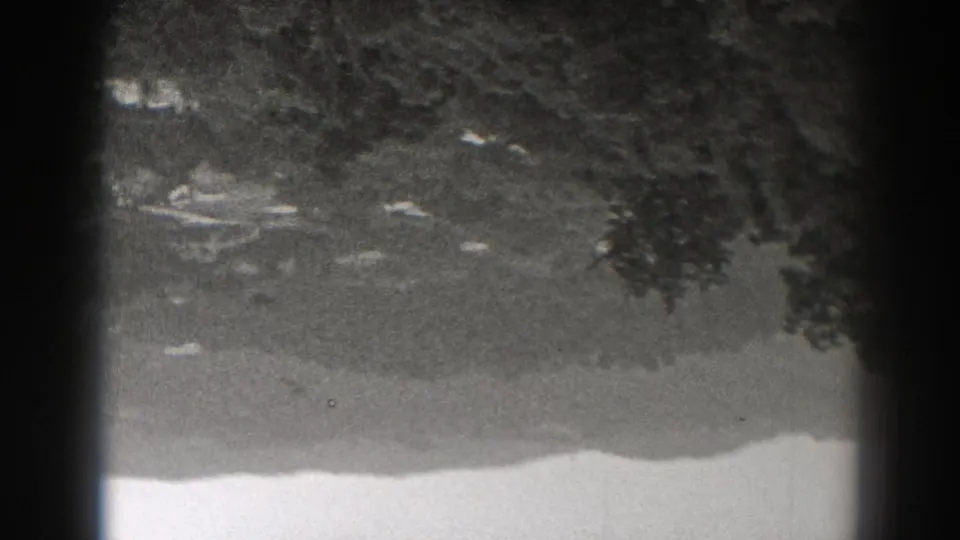 Inverted black-and-white New Jersey home-movie frame showing dark vegetation above a pale open area with scattered small debris.