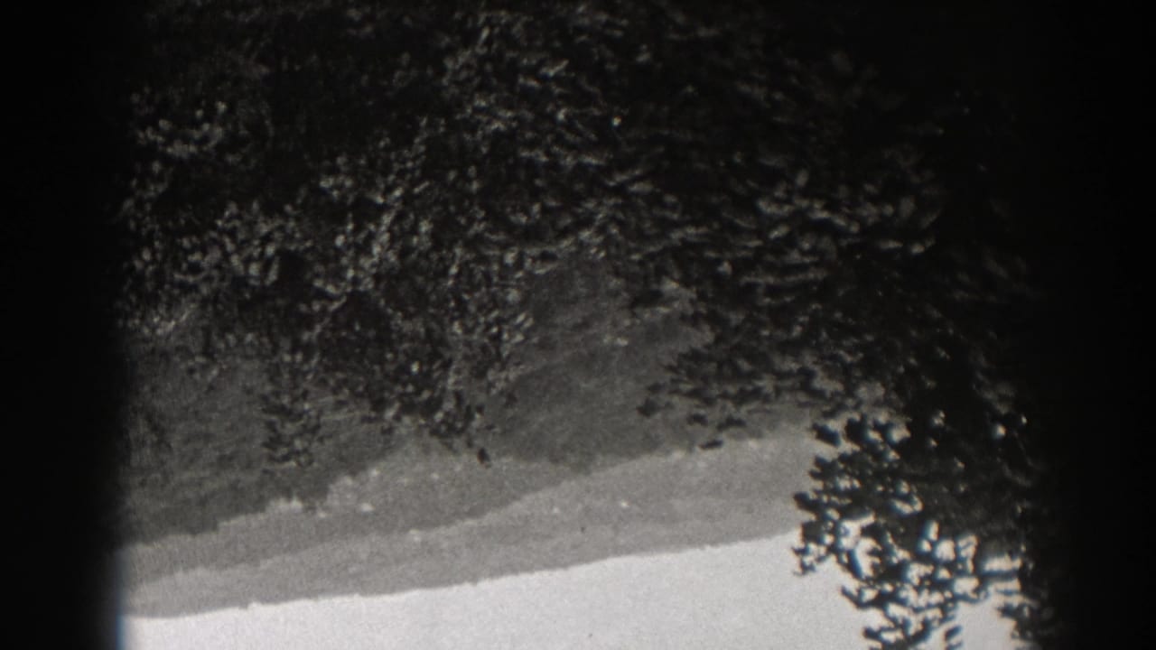 1938 New Jersey home-movie frame of an inverted tree-covered slope seen through a soft, dark-edged lens view.