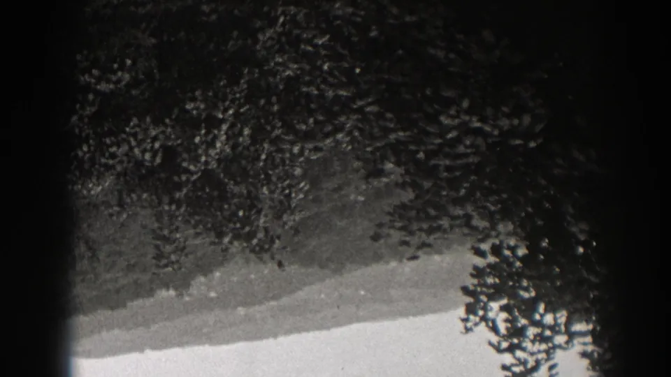 1938 New Jersey home-movie frame of an inverted tree-covered slope seen through a soft, dark-edged lens view.