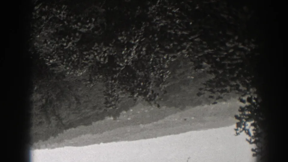 Final frame shows an inverted 1938 New Jersey wooded hillside with dense tree canopy and a bright band at the bottom.