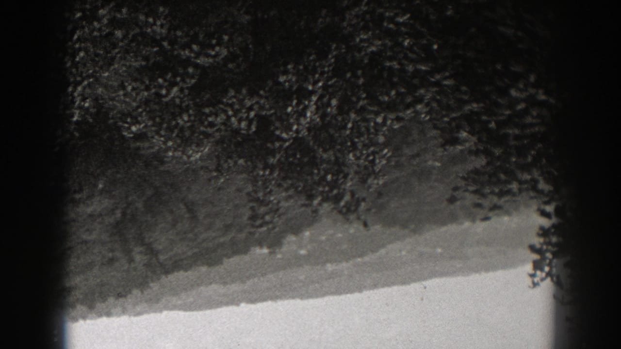1938 New Jersey 8mm frame showing dark foliage and a pale slanted edge, partially obscured by black frame borders.