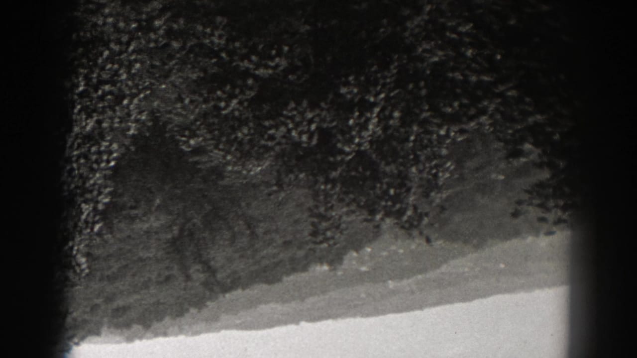 1938 New Jersey home-movie frame with dense dark leaves, a pale diagonal lower area, and obscured film-frame edges.