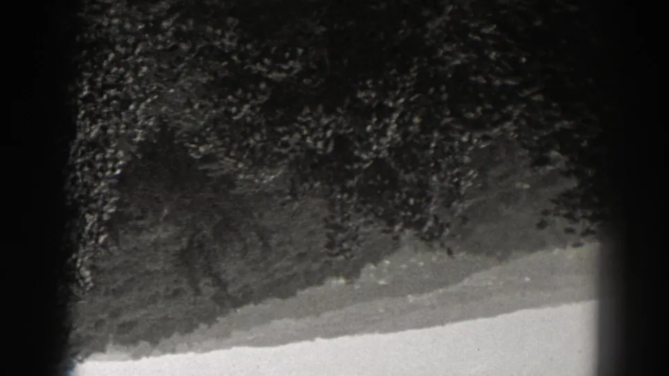 1938 New Jersey home-movie frame with dense dark leaves, a pale diagonal lower area, and obscured film-frame edges.