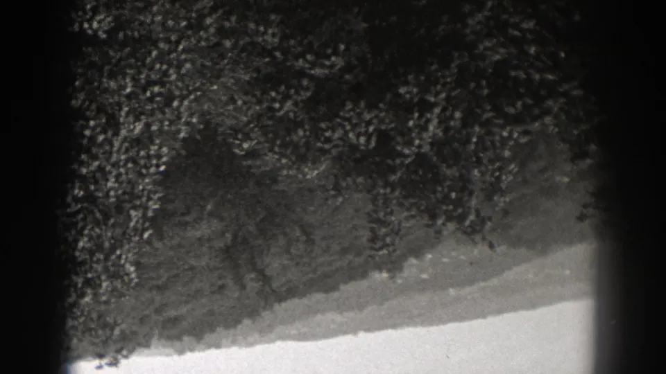 1938 New Jersey 8mm view of shadowed trees beside a pale sloping edge, with heavy black border intrusion.