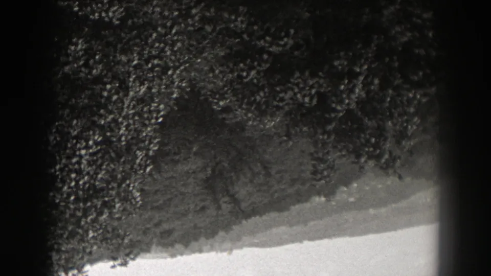 1938 New Jersey frame showing grainy foliage, a pale diagonal band, and strong black framing from the 8mm scan.