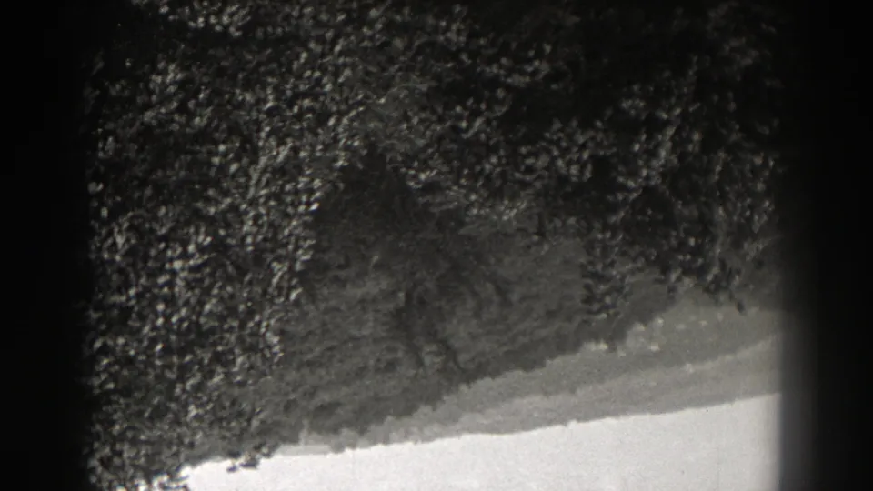 Upside-down 1938 New Jersey 8mm frame showing dense trees, shrub forms, distant slope, and bright sky.
