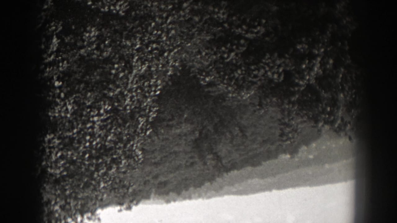 Upside-down New Jersey landscape frame with dense foliage, a sloping horizon, and bright sky on 8mm film.