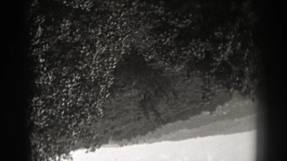 Upside-down New Jersey landscape frame with dense foliage, a sloping horizon, and bright sky on 8mm film.