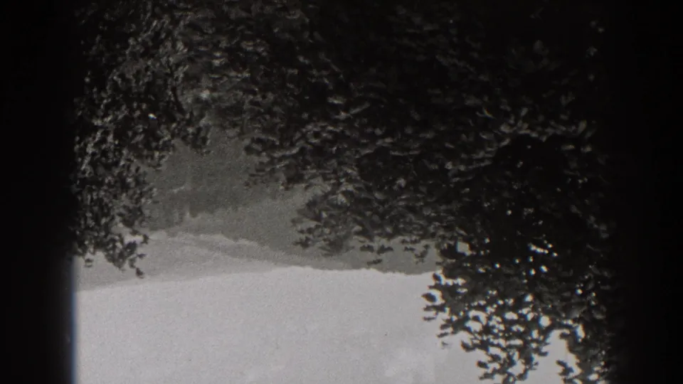 Upside-down 1938 New Jersey landscape still showing dark canopy, shrub silhouettes, distant terrain, and washed pale sky.