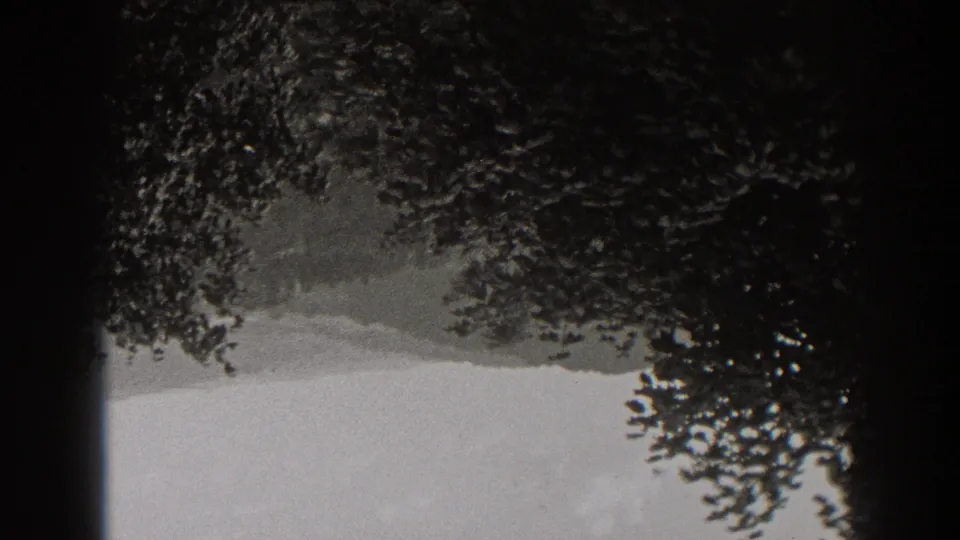 1938 New Jersey 8mm frame showing dark tree canopy over a pale open field or hillside, with rounded black frame edges.