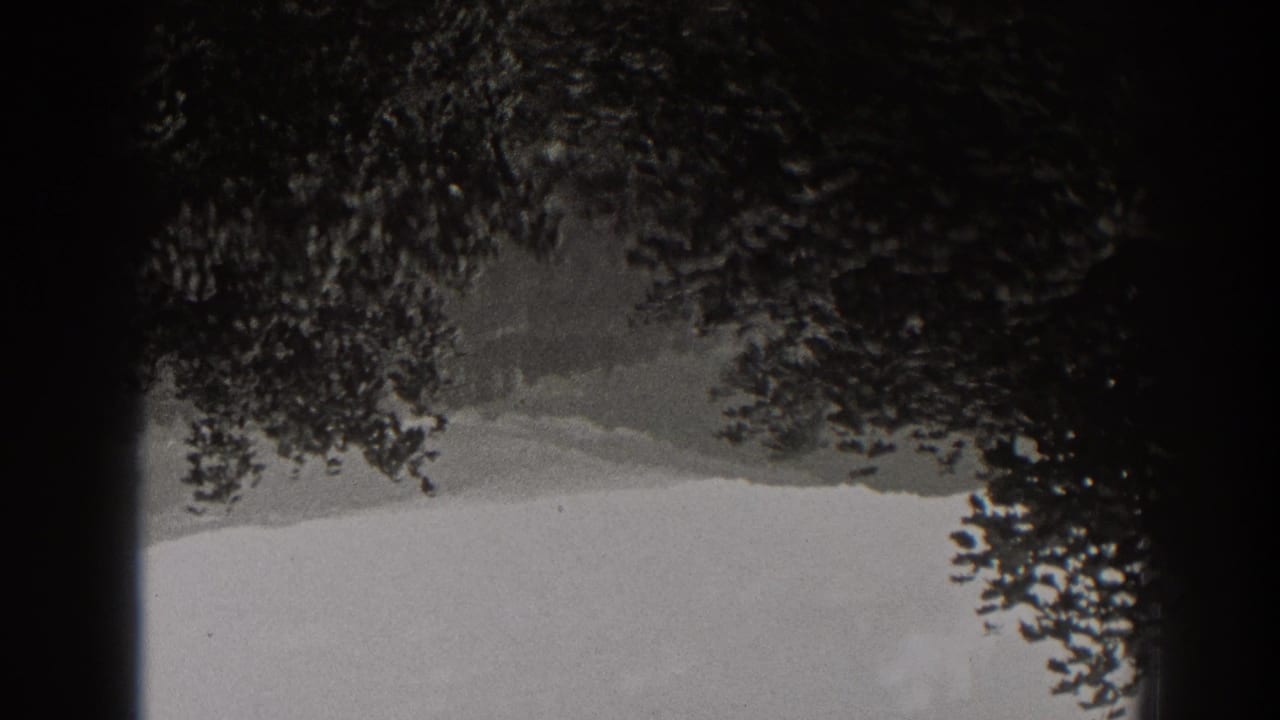 Black-and-white 8mm view of a pale field or hillside beneath dense trees in New Jersey, with soft focus and gate shadow.