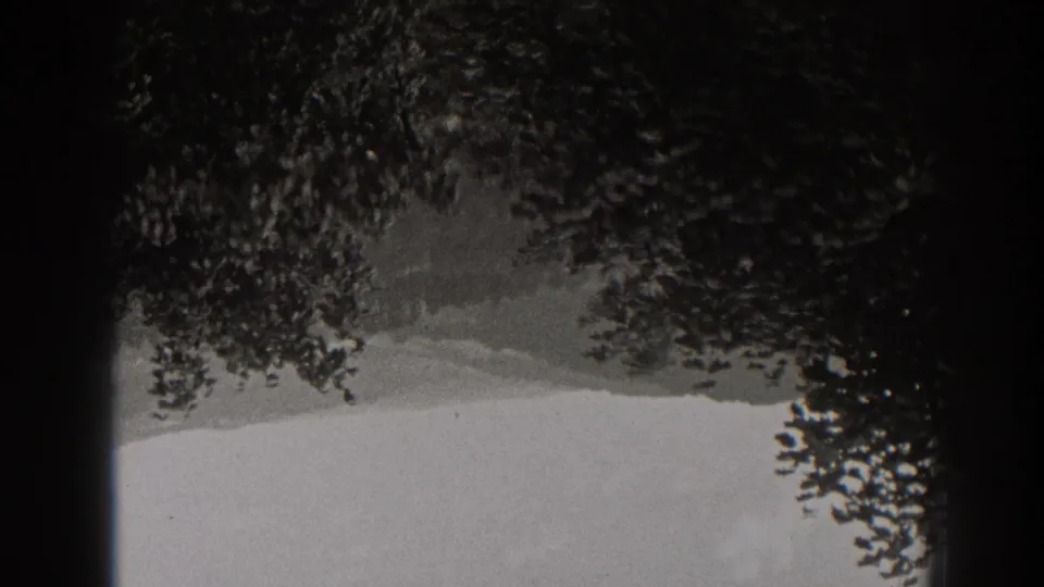 Black-and-white 8mm view of a pale field or hillside beneath dense trees in New Jersey, with soft focus and gate shadow.