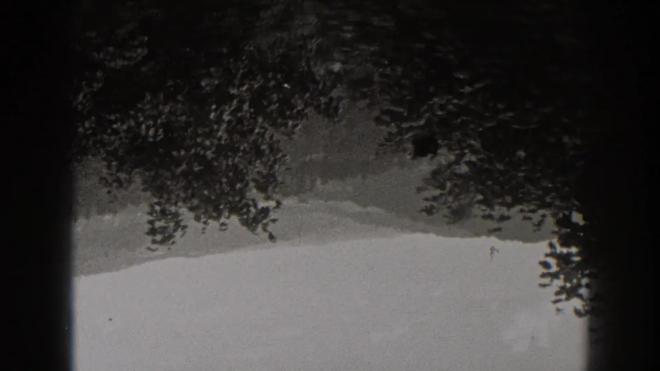 1938 home-movie frame with overhanging trees, a pale open area, and distant terrain, softened by 8mm grain and exposure variation.