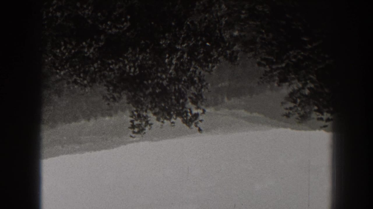 Upside-down 1938 New Jersey 8mm view of a distant wooded ridge and overcast sky with dark trees along the frame edge.