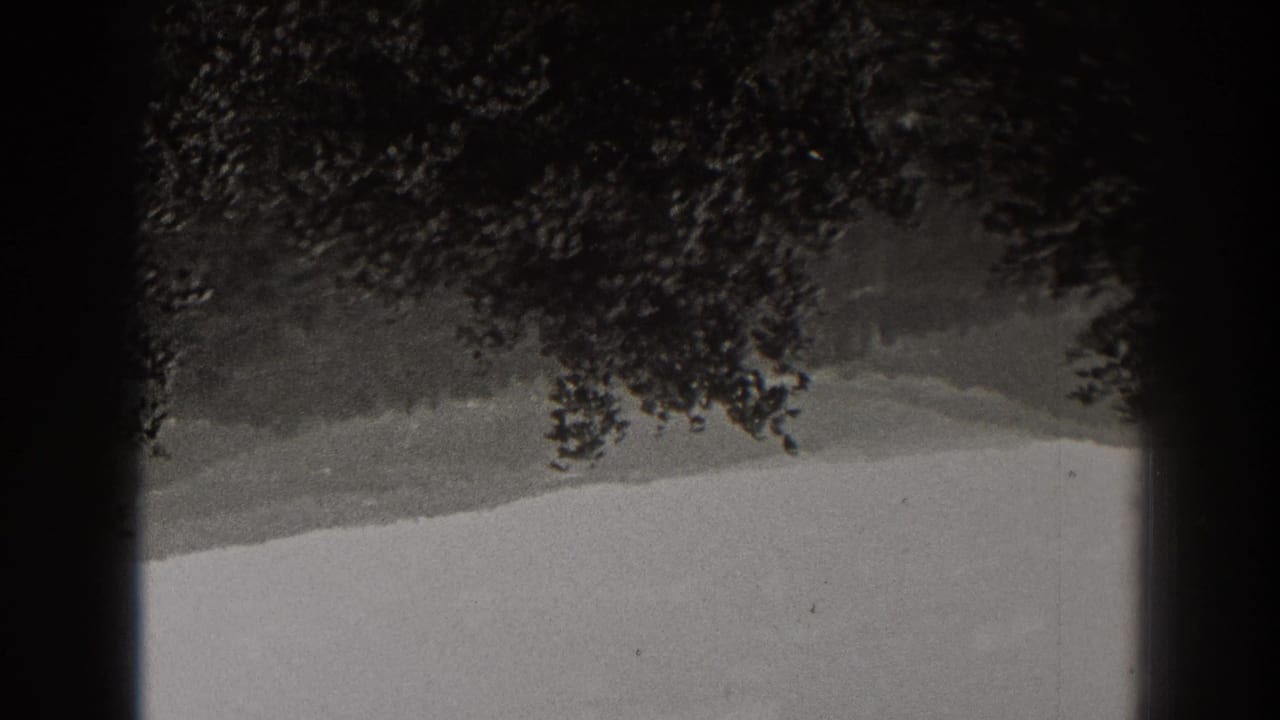 Inverted 8mm landscape frame showing a distant New Jersey ridge, pale sky, dark overhanging foliage, and film border shadow.