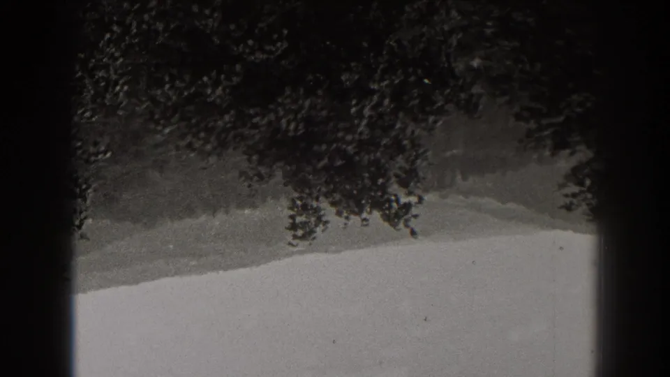 Inverted 8mm landscape frame showing a distant New Jersey ridge, pale sky, dark overhanging foliage, and film border shadow.
