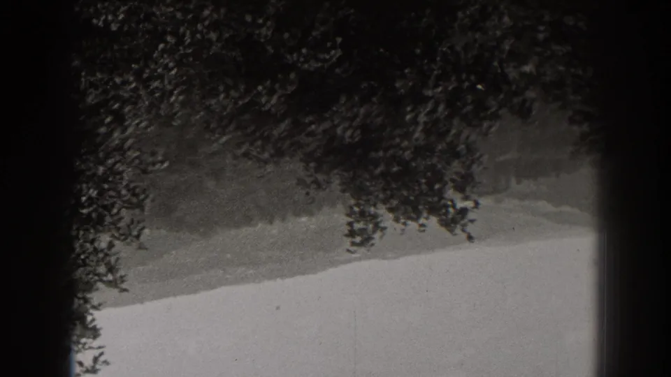 Upside-down 1938 home-movie frame of a wooded ridge and cloudy sky, partly obscured by dark tree silhouettes.