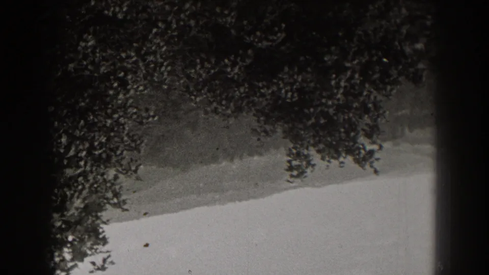 Inverted New Jersey 8mm frame with dense tree canopy, pale overcast sky, distant ridge, grain, and small dust marks.