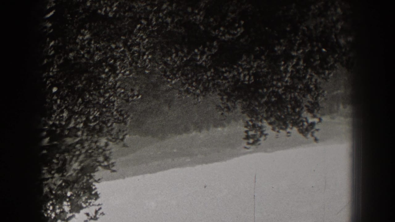 Black-and-white 1938 New Jersey 8mm frame showing dense tree leaves over a light roadside or path.