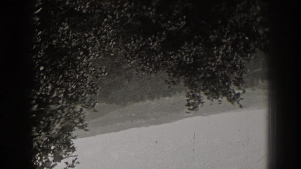 Black-and-white 1938 New Jersey 8mm frame showing dense tree leaves over a light roadside or path.