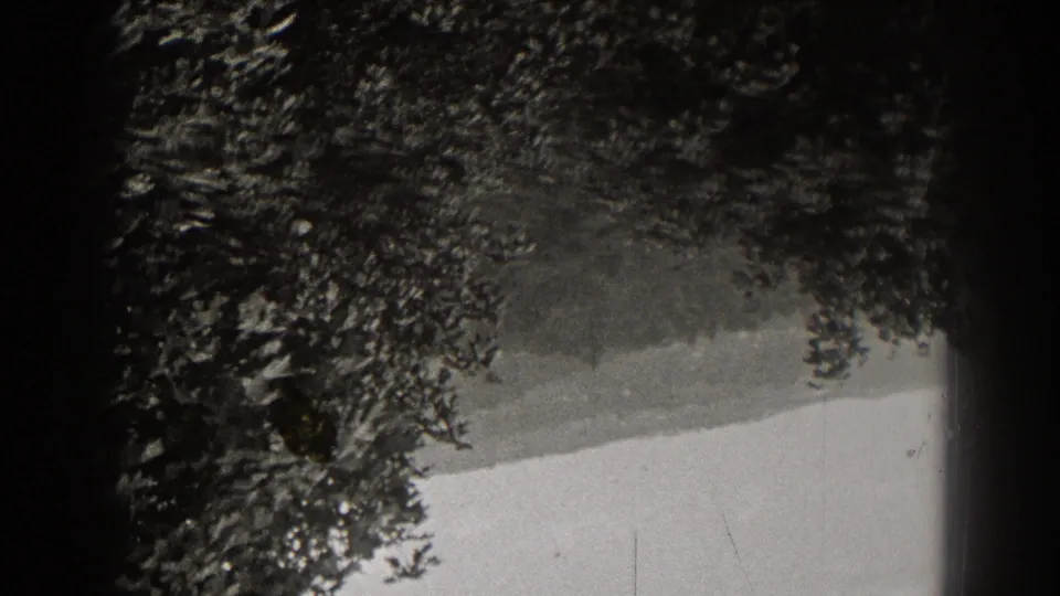 1938 black-and-white home-movie frame showing roadside trees and a light-toned road or path in New Jersey.