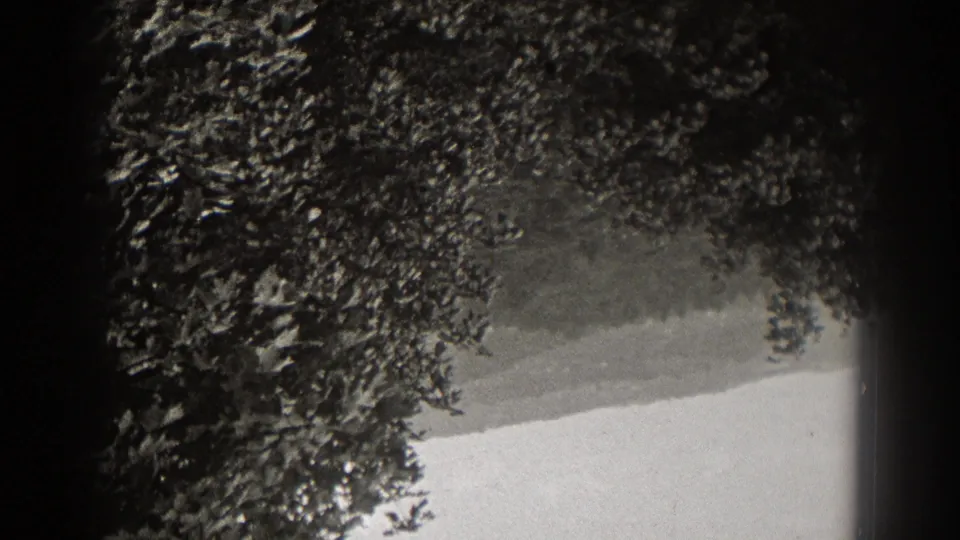 Black-and-white 8mm frame of mature roadside trees and foliage, consistent with the 1938 New Jersey clip metadata.