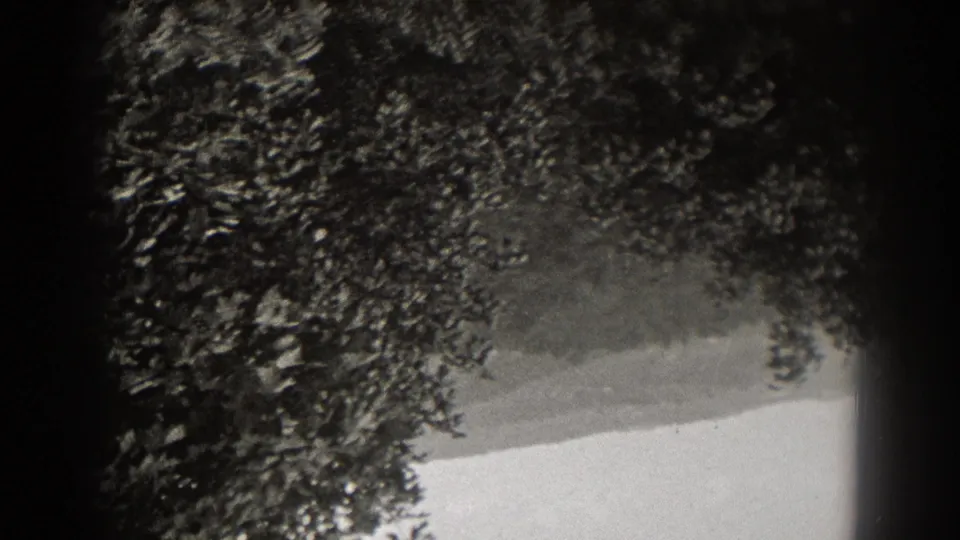 1938 New Jersey 8mm frame showing dark tree foliage near a pale outdoor area, with soft focus and visible film grain.