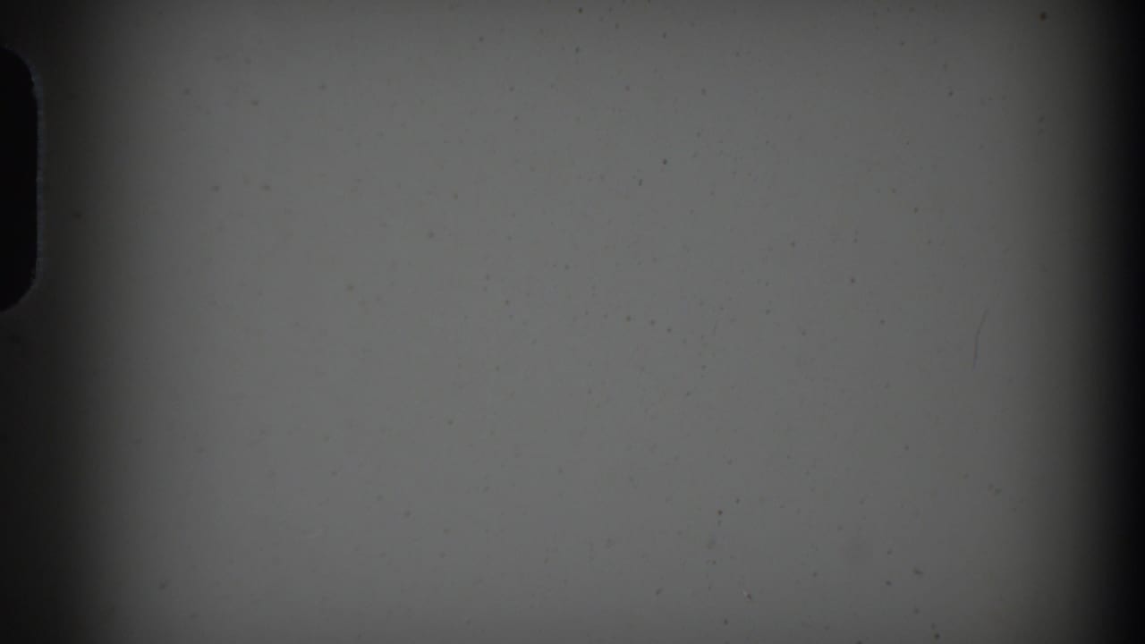 Mostly blank film frame with dark gate edge and dust specks.