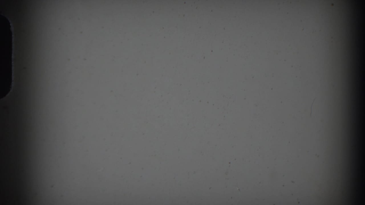 Mostly blank film frame with dark edge and visible dust.