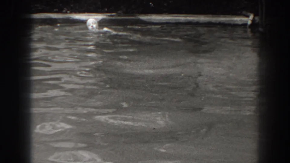 The woman’s capped head and one arm remain visible as she swims through the pool in the final contact-sheet frame.