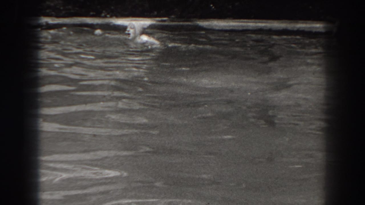 Woman in a swim cap floats near the far edge of a pond or lake.