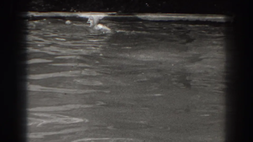 In metadata-supported 1938 New Jersey footage, a woman in a swim cap is seen partly above rippled pond or lake water.