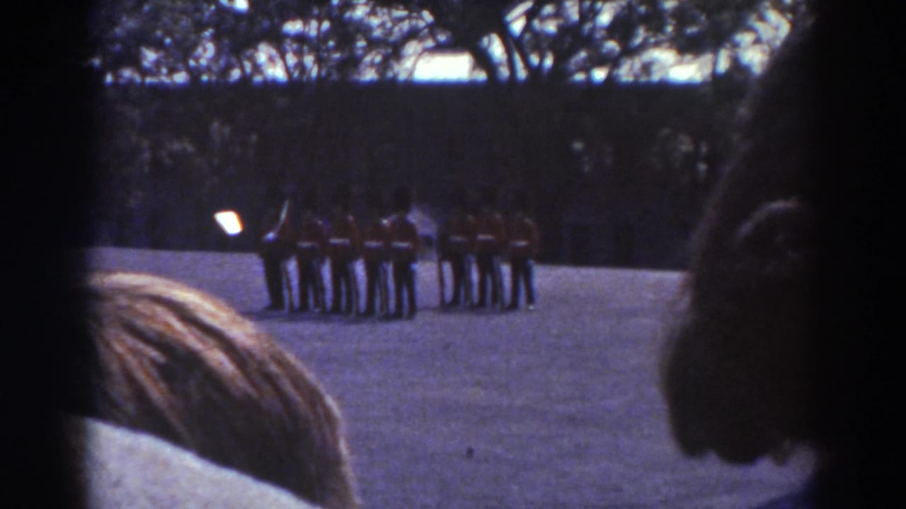 Spectators' heads frame distant uniformed guards standing in a semicircle on a courtyard.