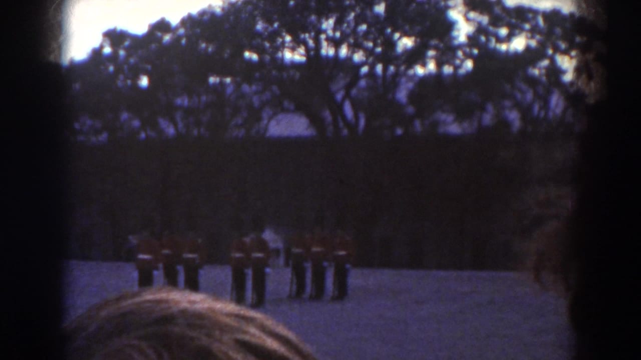Guards in red uniforms stand in formation on a paved courtyard behind a spectator's head.