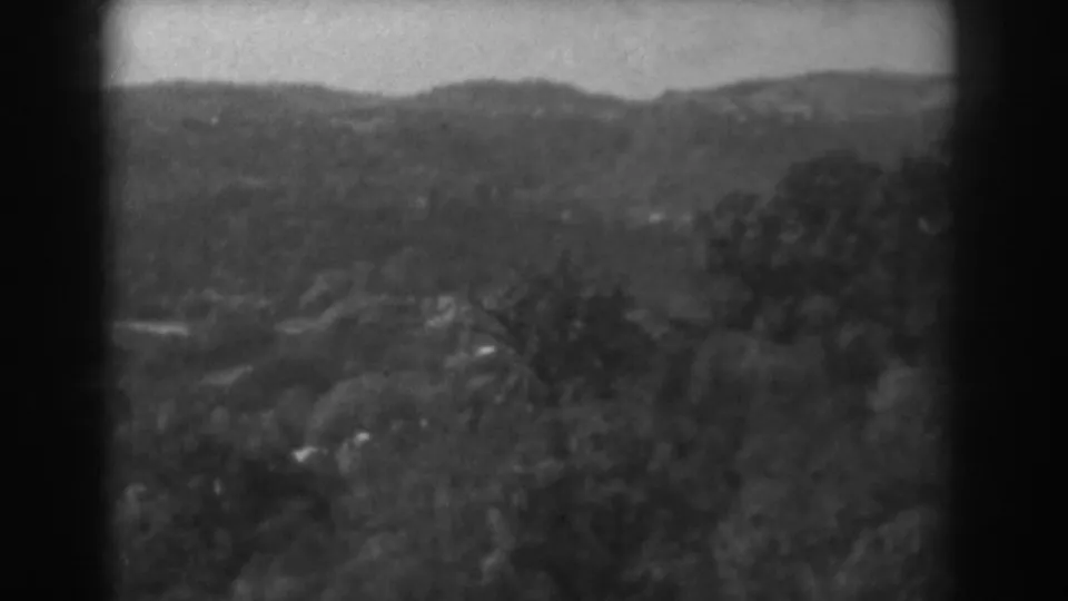 Final 1938 home-movie frame showing distant hills, foreground trees, and a hazy rural valley near Vineland, New Jersey.