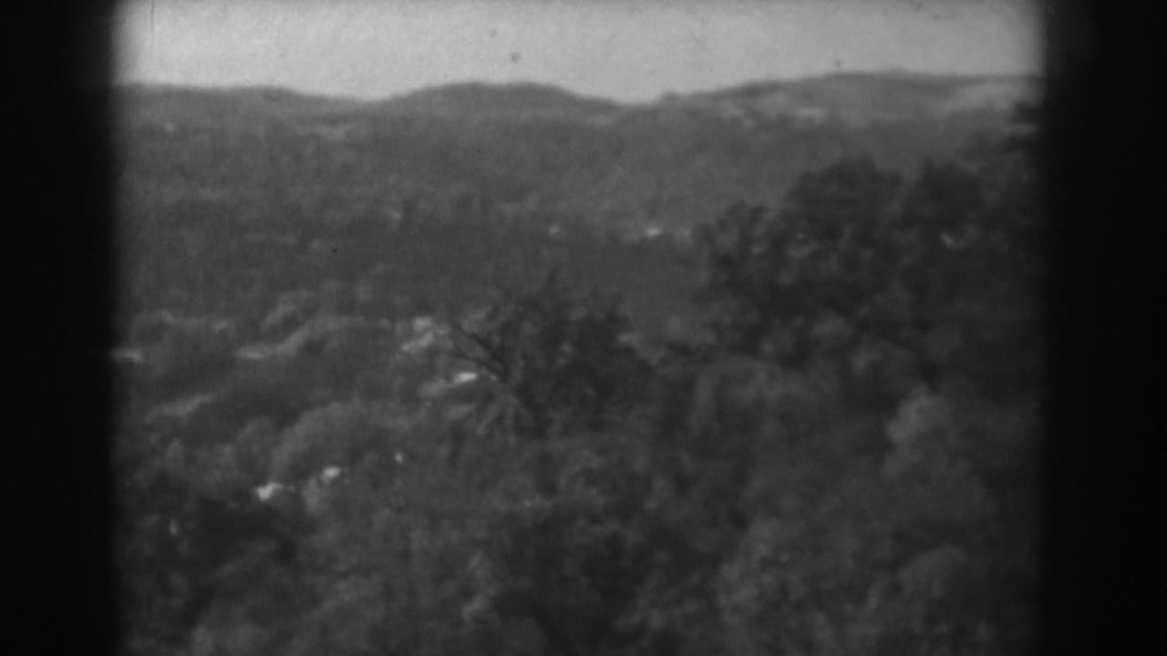 1938 Vineland, New Jersey home-movie frame showing a wooded foreground and distant rolling hills in soft black-and-white focus.